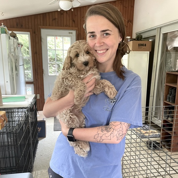 Meet your Posher, Sarah - Picture 1 of 1